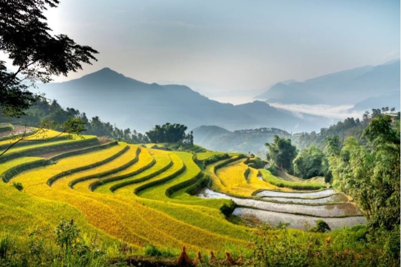 Traveling to Ha Giang and exploring hot destinations
